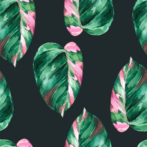 Akvarel Tropické Zanechává Bezešvé Vzor Philodendron Růžová Princezna Botanické Tapety — Stock fotografie