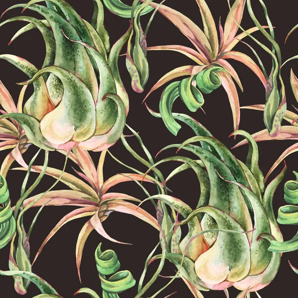 Akvarell Tropiska Blad Sömlösa Mönster Luftväxten Tillandsia Botaniska Konsistens Suckulenta — Stockfoto