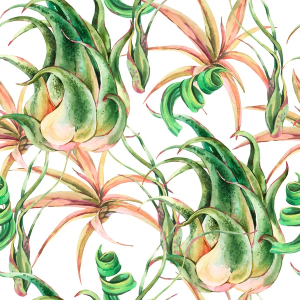 Akvarel Tropické Zanechává Bezešvé Vzor Vzduchotechnika Tillandsia Botanická Textura Šťavnaté — Stock fotografie