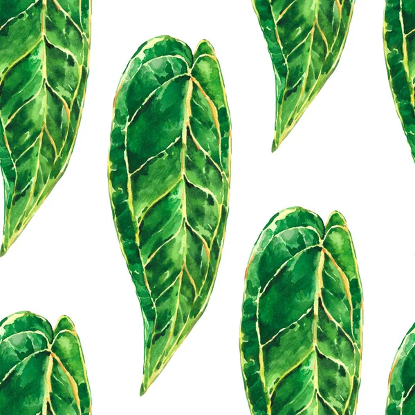 Watercolor Tropical Green Leaves Seamless Pattern Summer Vintage Botanical Wallpaper — Stock Photo, Image
