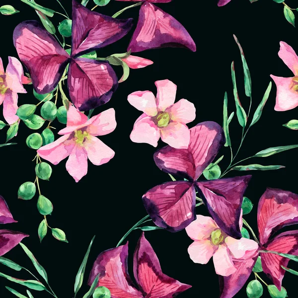 Akvarell Sommarblommor Violetta Sommarblommor Oxalis Botaniska Illustration Isolerad Svart Bakgrund — Stockfoto