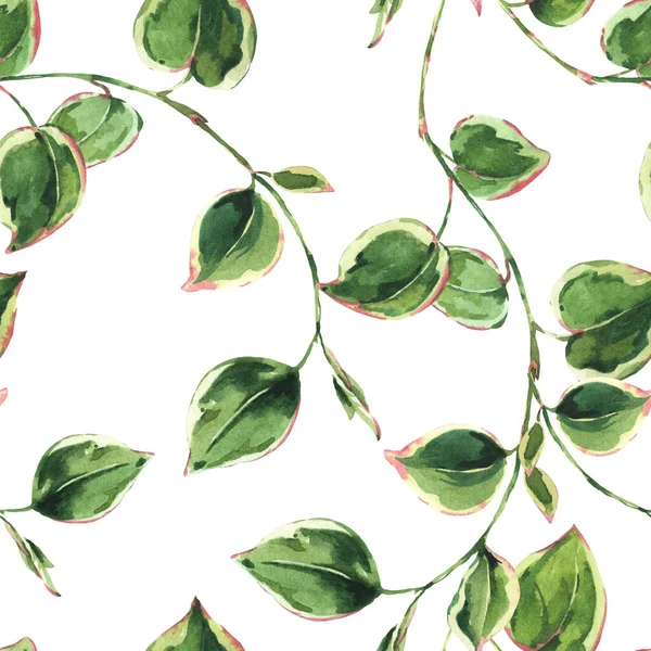 Watercolor Tropical Green Leaves Seamless Pattern Greenery Summer Vintage Botanical — Stock Photo, Image