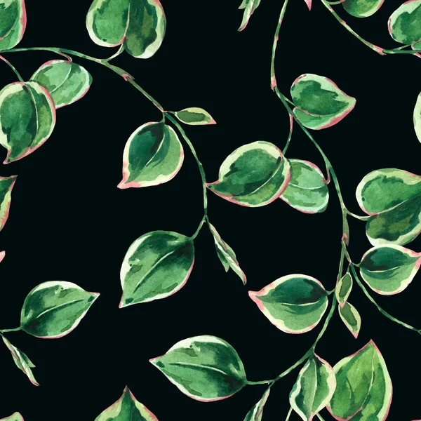 Акварель Зелеными Листьями Зеленый Летний Винтажные Ботанические Обои Черном Фоне — стоковое фото