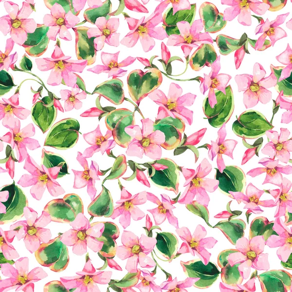 Watercolor Pink Wildflowers Seamless Pattern Summer Floral Texture Isolated White — Stock Photo, Image