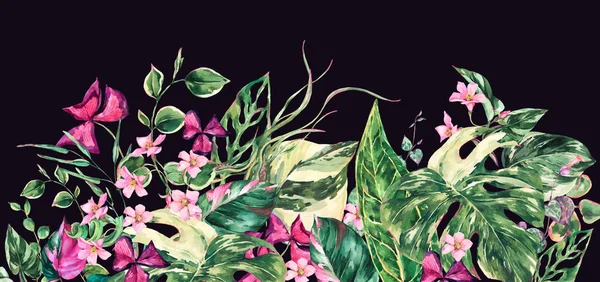 古色古香的热带水彩花留下星形问候卡片 Monstera 植物图解 夏天的植物黑色背景下的自然异国花 — 图库照片