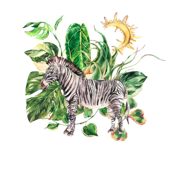 Ilustração Animais Zebra Tropical Aquarela Isolada Sobre Fundo Branco Folhas — Fotografia de Stock