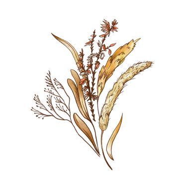 Antika kır çiçekleri yaz tebrik kartı. Çiçek doğal botanik çizgisi çizimi