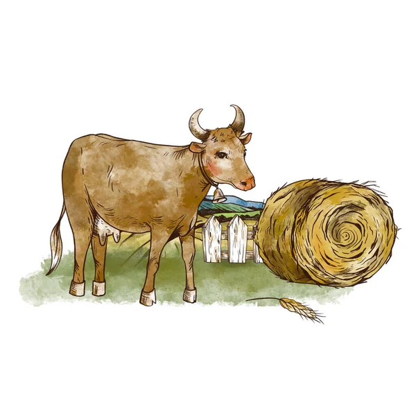 Carino Mucca Prato Fattoria Animali Rustico Vintage Illustrazione Isolato Sfondo — Foto Stock