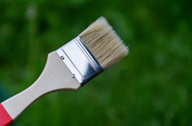 Yeşil bir arka plan üzerinde boyama için fırça