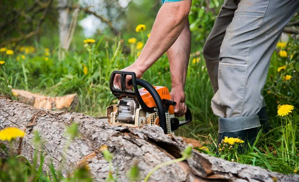 adam elektrikli testere ile ağaç keser
