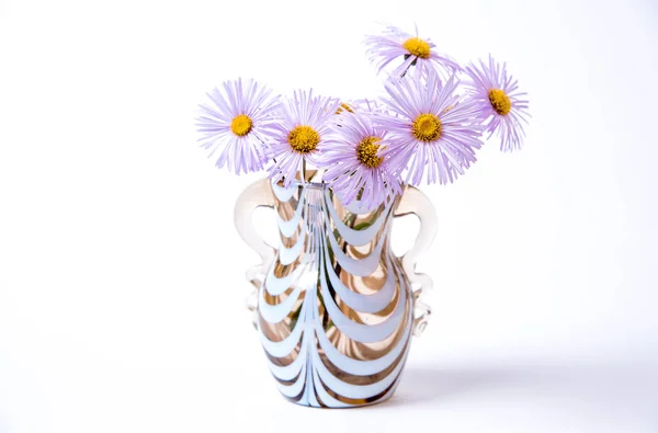 Bouquet Marguerites Aux Pétales Lilas Dans Vase Verre Sur Fond — Photo