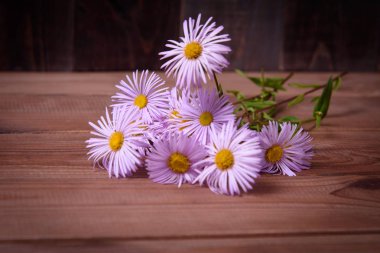 Papatya ahşap bir masa üzerinde Lila yaprakları ile