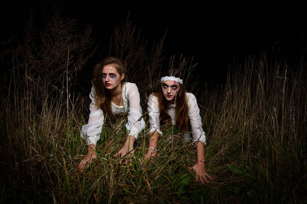 Creepy dead bride at night in a swamp. Bride girls at night. Halloween scene