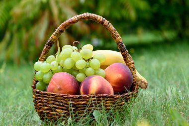 Çimlerin üzerindeki parkta meyve sepeti. Krizdeki taze meyveler.
