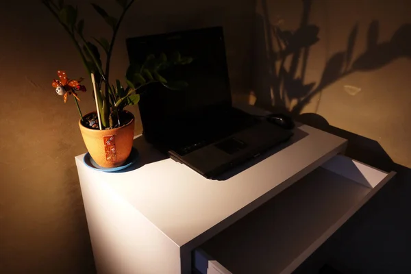 Het Interieur Van Het Appartement Met Een Receptie Een Laptop — Stockfoto