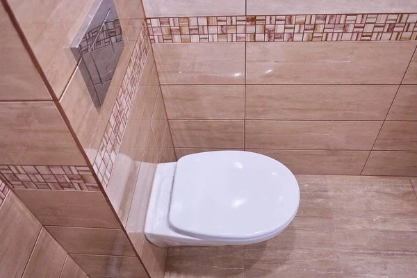Toalettutformning Med Inbyggd Toalett Inbyggd Toalett Gjord Som Installation Alla — Stockfoto
