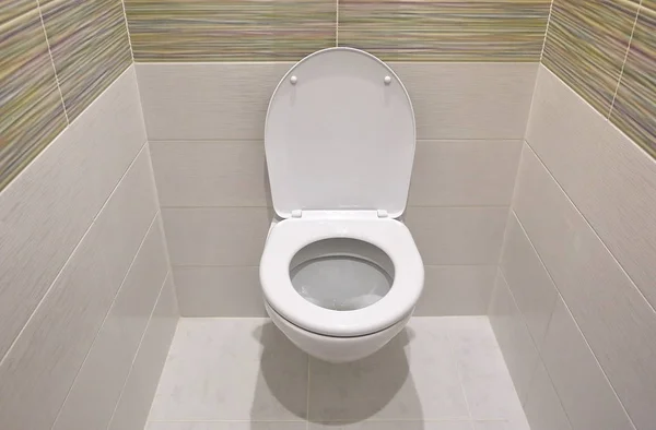 Tuvalet tasarımı ve dahili tuvalet. Yerleşik tuvalet bir kurulum olarak yapılır, tuvalet hariç tüm elementler duvardaki fayansların arkasında gizlidir..