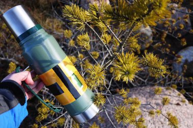 Termos sıcak ve soğuk içecekler saplı. Seni yürüyüşe çıkar, bir termos ile seyahat, kahve, çay veya diğer içecekler alarak