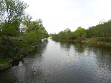 Rusça (Avrupa doğa) güzel manzaralar. Her mevsim manzaralar. Kış orman, parlak bir soğuk gün güzellik.