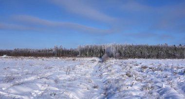 Rusça (Avrupa doğa) güzel manzaralar. Her mevsim manzaralar. Kış orman, parlak bir soğuk gün güzellik.
