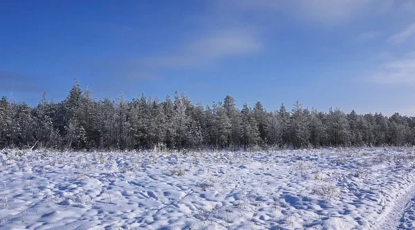 Vackra Landskap Ryska Europeiska Natur Landskap Alla Årstider Skönheten Vinter — Stockfoto