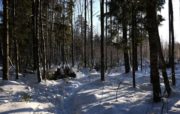 Vackra Landskap Ryska Europeiska Natur Landskap Alla Årstider Skönheten Vinter — Stockfoto