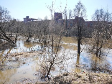 Çöp, şişeler, çamur bahar. Çevre felaketi.