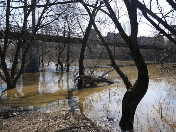 Çöp, şişeler, çamur bahar. Çevre felaketi.