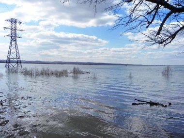 Bahar seller. Bahar sel büyük bir akışı içine küçük bir nehir döndü. Ayrıntılar ve yakın çekim
