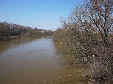 Bahar seller. Bahar sel büyük bir akışı içine küçük bir nehir döndü. Ayrıntılar ve yakın çekim