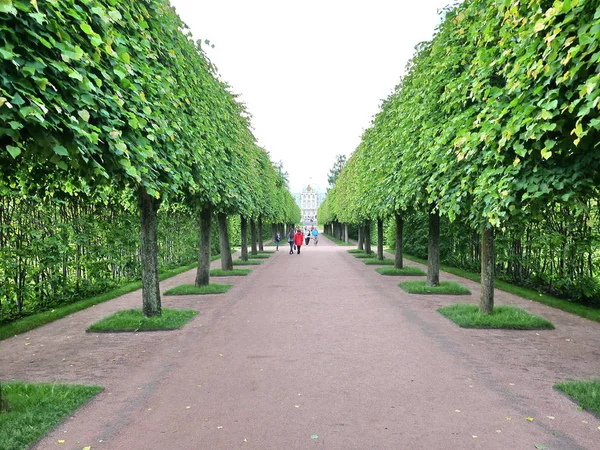 Catherine Park Tsarskoje Selo Catharinapaleis Sint Petersburg Rusland Bezocht Door — Stockfoto