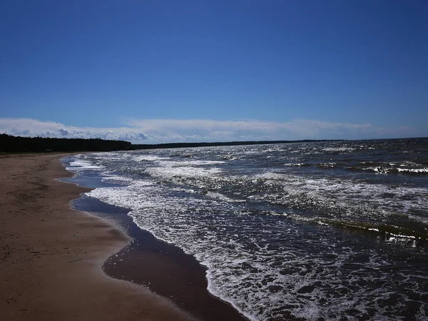 Costa Del Golfo Finlandia Pineta Spiaggia Sulla Costa Del Mare — Foto Stock
