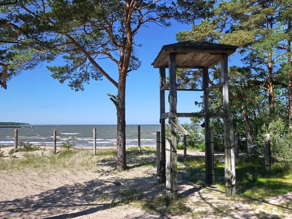 Costa Del Golfo Finlandia Bosque Pinos Playa Costa Del Mar — Foto de Stock