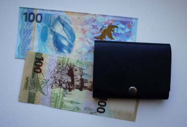 Büyük çanta. Tüm para, madeni para, pasaport, bankaların kredi kartları ve dükkanların indirim kartları sığabilir.