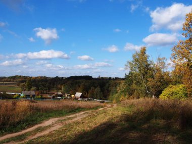 Sonbahar ormanına giden yol. Güneşli hava. Ayrıntılar ve yakın çekim.