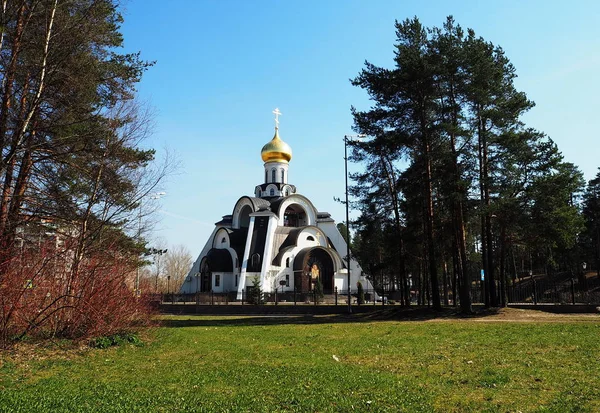 Russian Orthodox Church Beautiful Church Located Pine Forest Details Close — Stock Photo, Image