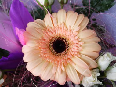 Gelin için güzel bir düğün buketi. Bu olağanüstü günde güzel çiçekler. Ayrıntılar ve yakın çekim.