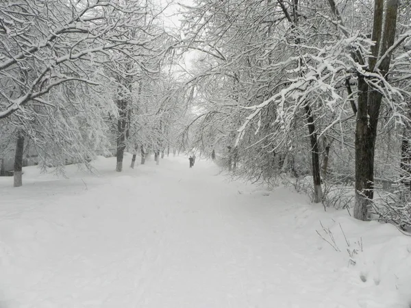 Schneebedeckte Straße Während Des Schneefalls Fiel Viel Schnee Und Lag — Stockfoto
