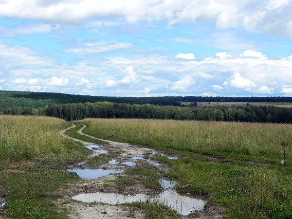 Country road in the village. Road with puddles and bad pokrytiem outside the city. Details and close-up.