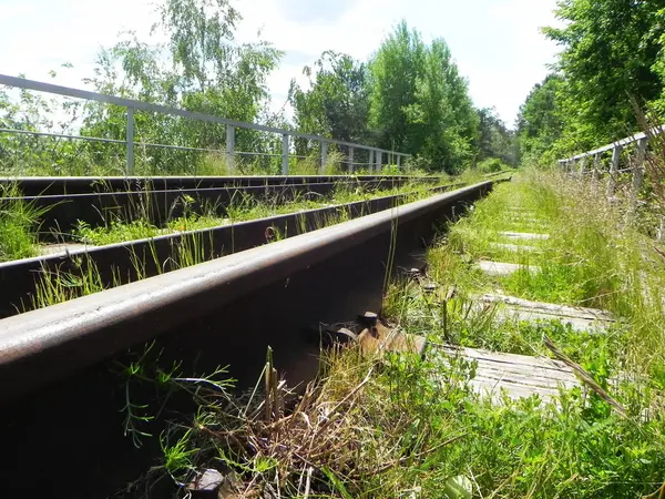 Sökvägen Till Järnvägen Järnvägen Passerar Genom Vackra Landskap Detaljer Och — Stockfoto