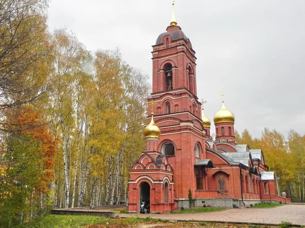 Cúpulas Azuis Douradas Sobre Igreja Belas Cúpulas Sobre Igreja Russa — Fotografia de Stock