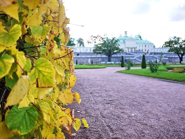 Oranienbaum Museum Reserve Dit Park Petersburg Een Prachtig Park Het — Stockfoto