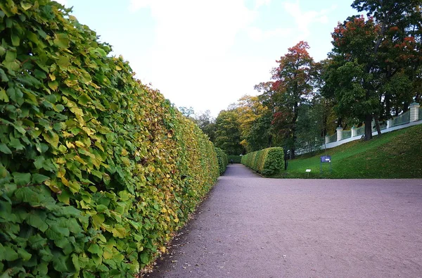 Oranienbaum Museum Reserve Dit Park Petersburg Een Prachtig Park Het — Stockfoto