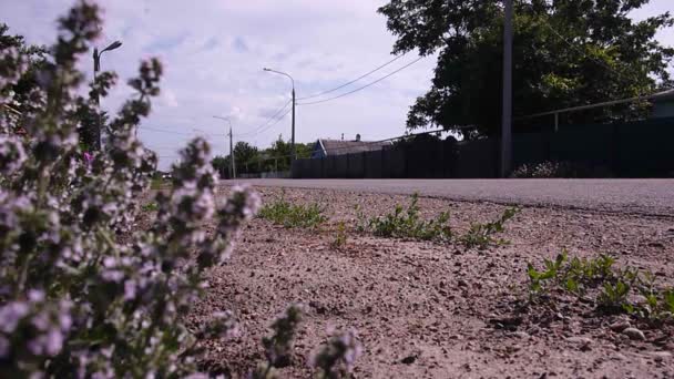 Carro Passa Uma Estrada Rural Aldeia — Vídeo de Stock