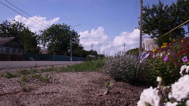 Voiture Passe Sur Une Route Campagne Dans Village — Video