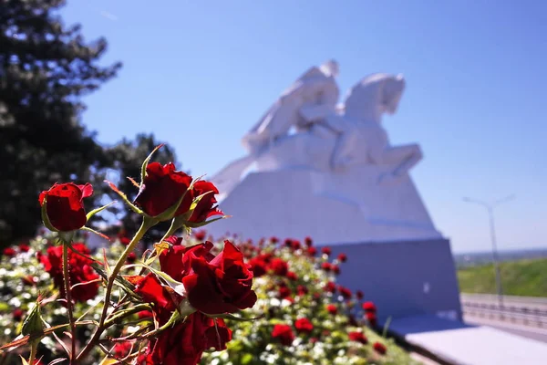 Monument Roses Field Cossack Glory — Stock Photo, Image