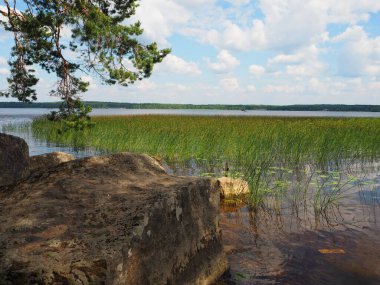 Sahildeki Doğal Park. Monrepo Parkı.