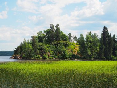 Sahildeki Doğal Park. Monrepo Parkı.
