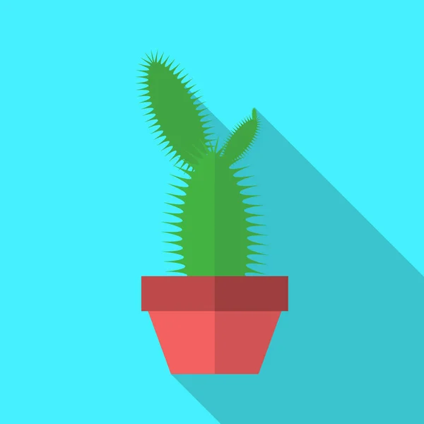 Illustration Cactus Use Illustration Website Store Flat Style — Stock Vector
