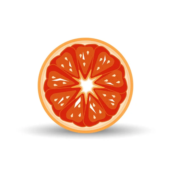 Citrus Fruit Isolated White Background Vector Illustration — Stock Vector